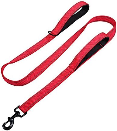 Retractable Dual Handle Dog Leash with Car Safety Buckle - Heavy Duty Shock Absorbing Reflective Bungee Dog Leash - Soft Padded 2 Handles for Traffic Safety Control - for Medium to Large Dogs
