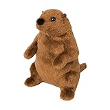 Mr G Groundhog 6" by Douglas Cuddle Toys
