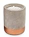 Paddywax Urban Collection Scented Soy Wax Candle, 3.5-Ounce, Bergamot & Mahogany
