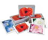 Georgia O'Keeffe - Box Set of 20 Assorted Note Cards and Envelopes