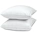 AllerEase Cotton Allergy Protection Hypoallergenic Euro Pillow, 3-Year Warranty, Machine Washable (Pack of 2)