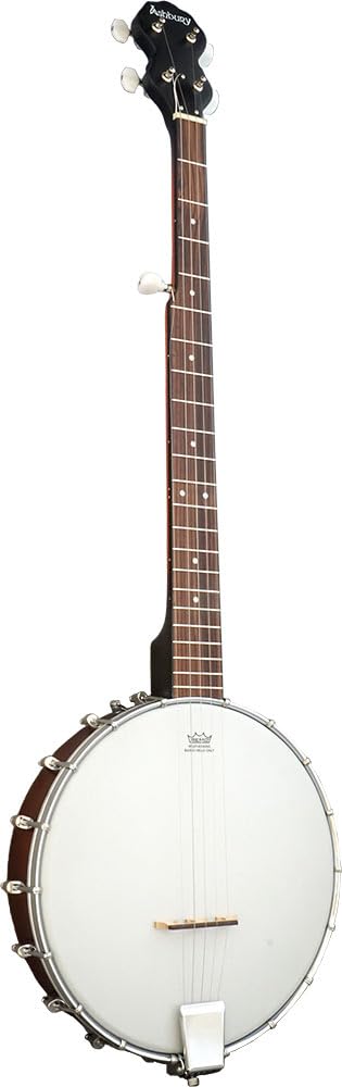 Blue Moon Music BM-10 5 String Banjo