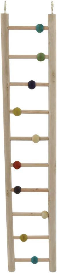 The 9 Best Ladder For Bird