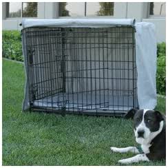 basic training dog crate