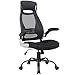 OWLN Ergonomic High Back Mesh Office Chair with Adjustable Headrest and Armrest Desk Chair
