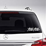 Aampco Decals Yee Yee Shotgun Duck Hunting Redneck Southerner Car Truck Motorcycle Windows Bumper Wall Decor Vinyl Decal Sticker Size- [6 inch/15 cm] Wide/Color- Gloss Black
