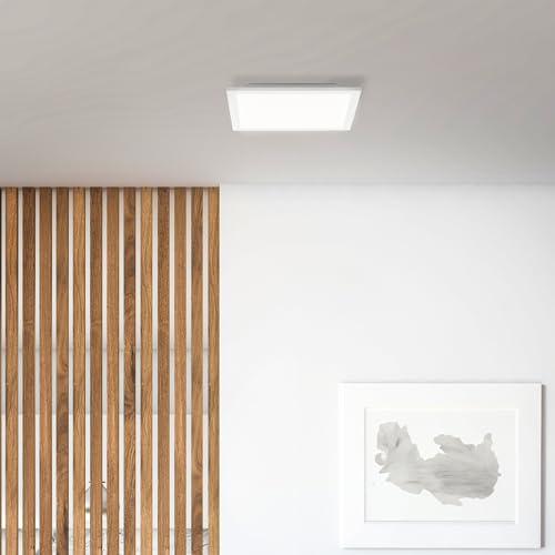 Lightbox Basic LED Aufbaupaneel | 30 x 30 cm | zeitloses Wand- & Deckenpanel mit weißem Rahmen & neutralweißer Lichtfarbe (4000 K) | 1900 lm | für jeden Raum s| aus Aluminium/Kunststoff