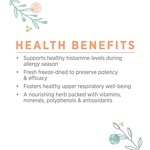 PURE SYNERGY Nettle 90 Capsules Made with Organic Ingredients Non