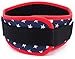 Fitplicity Weight Lifting Belt (Old Glory, Medium)