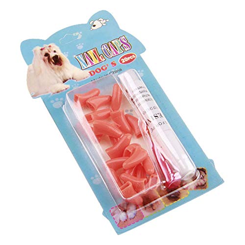 Top 10 best cat claw covers orange for 2020 Sideror reviews