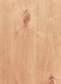 Knotty Alder Veneer Plain Sliced Wood on Wood Backer 4' X 8' (48" x 96")