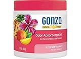 Natural Magic Air Purifying Gel, Odor Eliminator for Cars, Closets, Bathrooms and Pet Areas, Captures and Absorbs Odors - 14 Ounce - Tropical Paradise