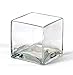Vasefill 6-Pack Clear Square Glass Vase - Cube 4 Inch 4