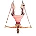 YOGABODY Yoga Trapeze (Official) with DVD, Baby Pink - Yoga Inversion Swing