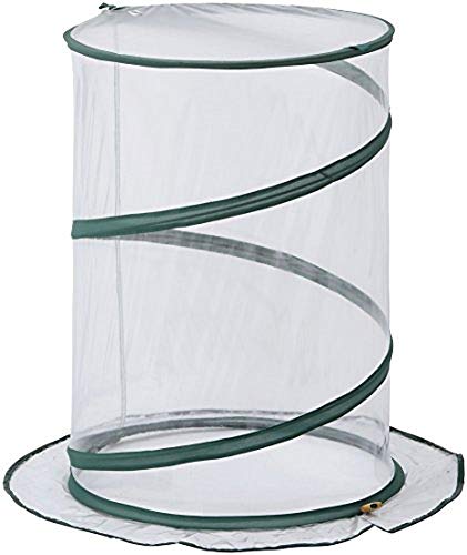 タカショー 温室 ポップアップ式温室ラウンド 幅71cm×奥行71cm×高さ69cm 固定用ピン付き ビニールハウス防寒カバー【GRH-15】商品画像
