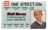 Niall Horan ID - One Direction Band