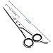 Candure Barber Hair Cutting Scissors/Shears (6 Inch) for Professionals