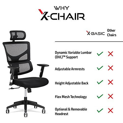 XChair XBasic Task Chair, Black Flex Mesh Ergonomic Office Seat