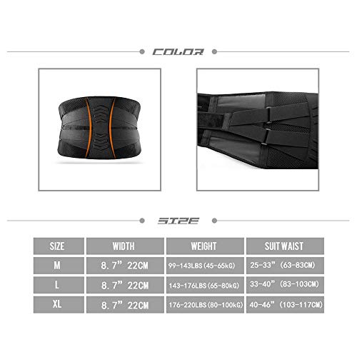 Fay Bless 2020 Back Brace Sweat Waist Trainer Corset Trimmer Belt for Women & Men XL