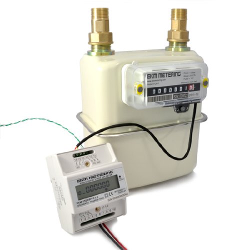 EKM Metering Inc. 3/4" Pulse Output Gas Meter Buy Online in UAE