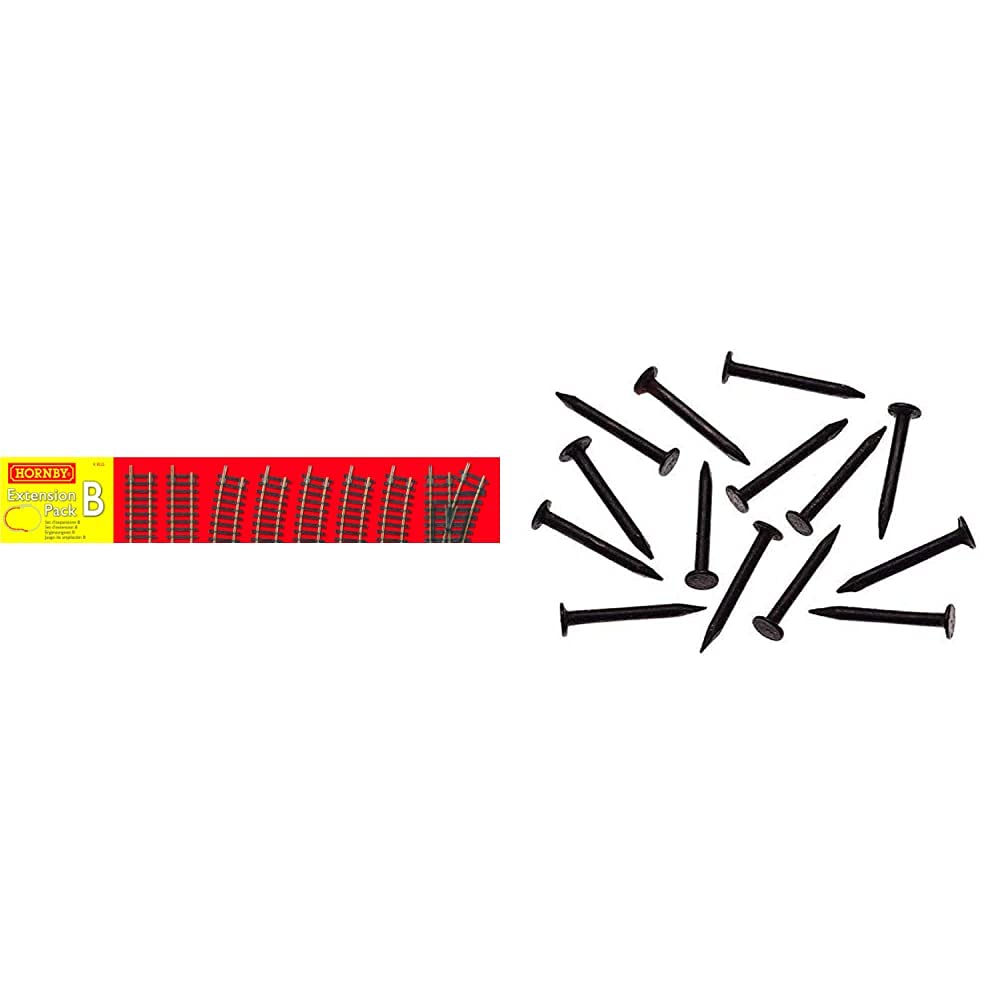 Hornby R8222 00 Gauge Track Extension Pack B & R207 - Track Pins