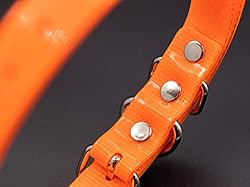 TrainPro 27 ½” X ¾” Replacement Dog Collar