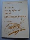 A Key to the Nymphs of British Ephemeroptera