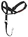 The Company of Animals - HALTI Headcollar - Adjustable and Padded - No Pull Training Tool for Dogs on Walks - Includes Free Training Guide - Size 5 - Black