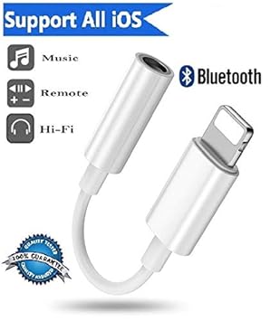 REDWIND Call and Music Adapter 3.5mm Jack Aux Earphone Headphones Jack Adapter; Car Aux and Stereo Jack Use; 3.5mm Audio Jack Converter for iPhone and iOS Devices