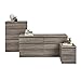BLOSSOMZ Tvilum Scottsdale 5 Drawer Chest in Truffle
