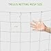 VIVOSUN Trellis Netting Heavy-duty Polyester 5'x30' 2 Pack