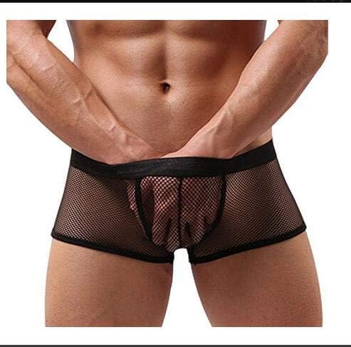 Dasuke Sexy Mens See Through Mesh Boxers Lingerie Panties Briefs (Back,L)