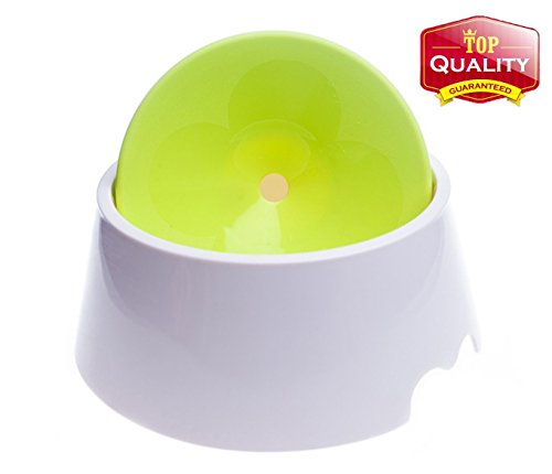 slow down dog drinking