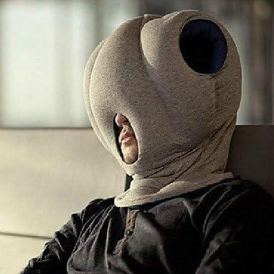 Amazon Com Novelty Round Linen Blue Ostrich Pillow Home Kitchen