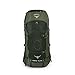 Osprey Packs Osprey Aether Ag 85 Backpack