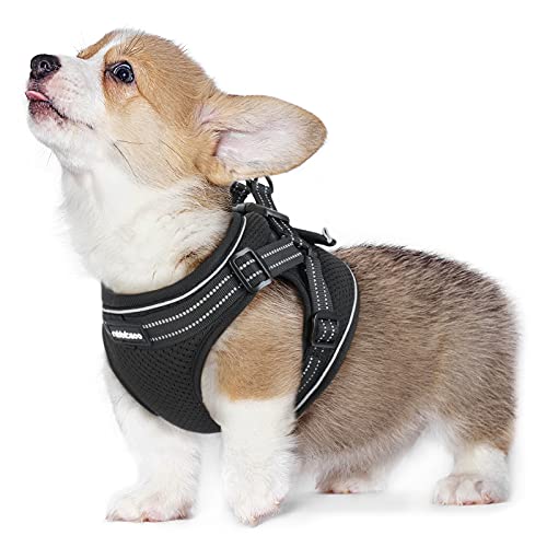 rabbitgoo Small Dog Harness, Soft Mesh Dog Harness with 4 Adjustable