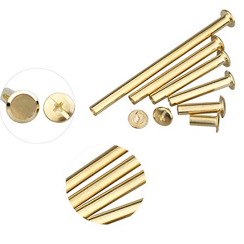 SpzcdZa 120pcs Golden Phillips Chicago Screw Binding Screws Posts Assortment Kit for Scrapbook Photo Albums Craft and DIY Leather Decoration Bookbinding(M5 x 10/20/30/40/50/60)