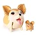 Chubby Puppies & Friends - Long Haired Chihuahua (Styles May Vary)