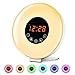 dostyle Wake Up Light Alarm Clock with Sunrise & Sunset Simulator, 6 Nature Sounds, 7 Colors Night Light, FM Radio, Touch Control - with Snooze Function for Heavy Sleepers - White