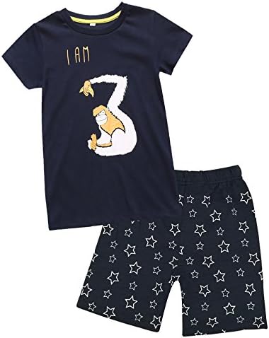 Kid Boys' Color Changeable Outfit Set Animal Figures 3rd Birthdays Gift Shirt with Shorts (3T)