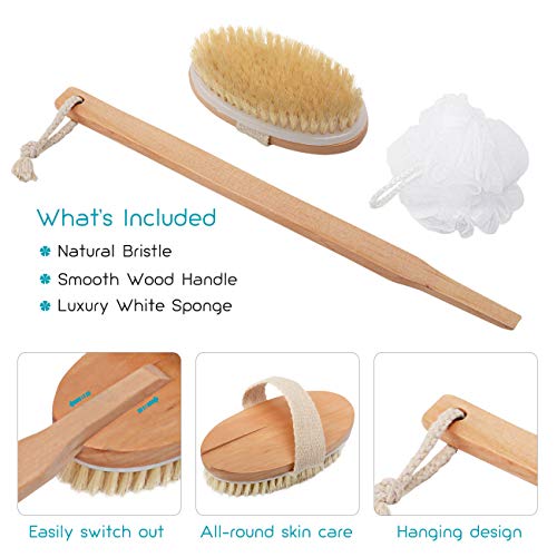 Body Brush for Bath or Shower - Dry or Wet Skin Exfoliating Long Wood Handle Back Scrubber with White Sponge - Thumbnail 6