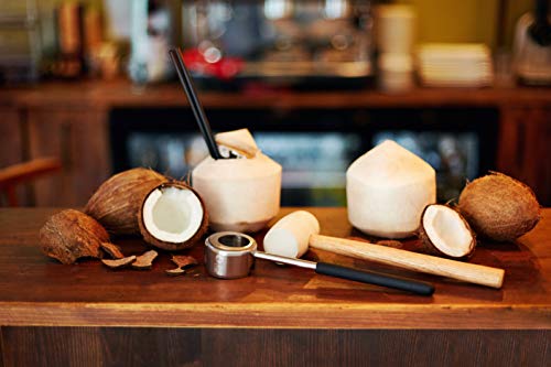 5 CocoNUT+Coconut+Opening+Stainless+Removal