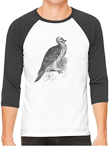 Unisex Mens Wild Bearded Vulture Bird 3/4 Sleeve White Baseball T-Shirt, Black Sleeves, S