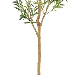 Bellacat Faux Olive Tree 6ft，Olive Trees