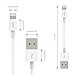 AUKEY Lightning Cable (3.3ft) Apple MFi Certified for iPhone 7, 7 Plus, 6, 6S, 6 Plus, iPad Pro and More