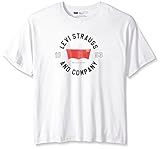Levi's Men's Big and Tall Fjorder T-Shirt