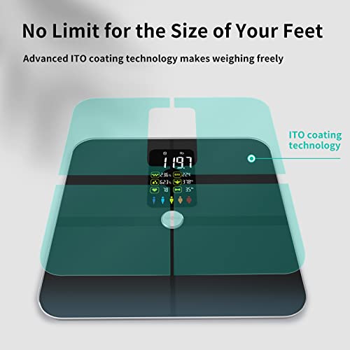 Body Fat Scale, Posture Extra Large Display Digital Bathroom Wireless