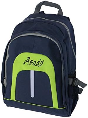 Insulated outdoor picnic festival Back Pack