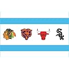 CHICAGO FLAG Sport 4"x6" Sticker Decal Vinyl Blackhawks White Sox Bears Bulls