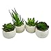 Houseables Artificial Succulent Plants, Fake Plant, 6 Pack, 4.25